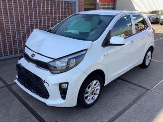 Auto da rottamare Kia Picanto Picanto (JA), Hatchback, 2017 1.0 12V 2018/7