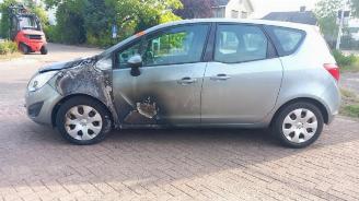 Opel Meriva Meriva, MPV, 2010 / 2017 1.4 16V Ecotec picture 4