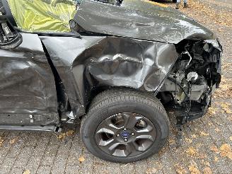 Ford EcoSport 1.0 picture 5