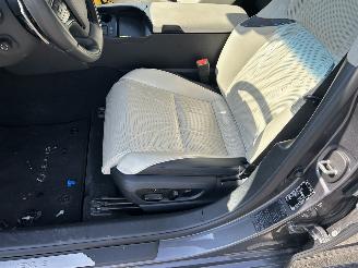Lexus ES 300 H President Line  Schuifdak picture 13