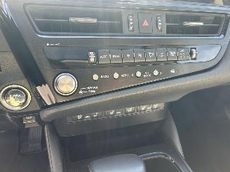 Lexus ES 300 H President Line  Schuifdak picture 18
