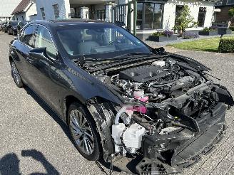 Lexus ES 300 H President Line  Schuifdak picture 3