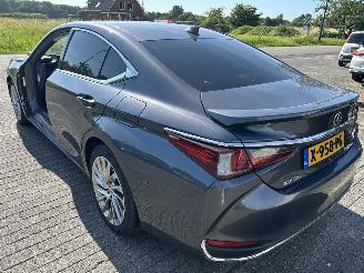Lexus ES 300 H President Line  Schuifdak picture 10
