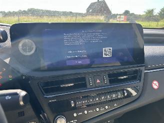Lexus ES 300 H President Line  Schuifdak picture 17