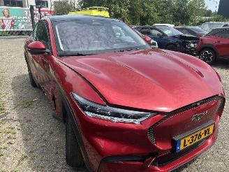 Ford Mustang Mach-e  picture 3