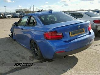  BMW 2-serie 2 serie (F22/F87), Coupe, 2013 / 2021 218d 2.0 16V 2016/7