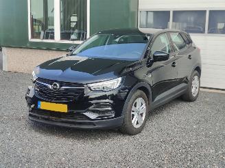Avarii autoturisme Opel Grandland 1.2 Turbo Edition Cruise Trekhaak 2020/1