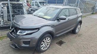 Vrakbiler auto Land Rover Range Rover Range Rover Evoque (LVJ/LVS), SUV, 2011 / 2019 2.0 D 150 16V 5-drs. 2016