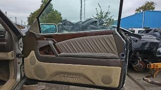 Mercedes S-klasse  picture 19
