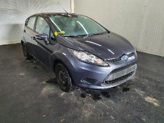 Coche siniestrado Ford Fiesta 1.25L Limited 2009/7