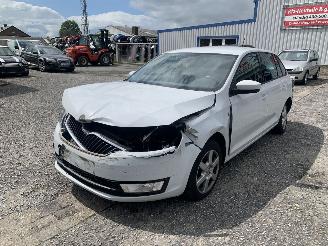 Purkuautot passenger cars Skoda Rapid Rapid Spaceback 2014/6