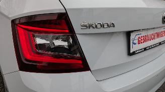 Skoda   picture 18
