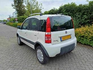 Fiat Panda 1.2 Climbing 4x4 picture 5
