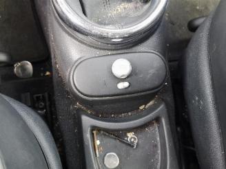 Mini Mini  picture 10