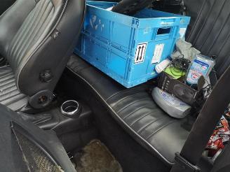 Mini Mini  picture 13