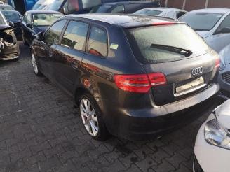 Audi A3 A3 Sportback (8PA), Hatchback 5-drs, 2004 / 2013 1.6 TDI 16V picture 4