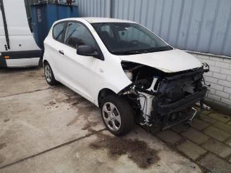 Salvage car Kia Picanto Picanto (TA), Hatchback, 2011 / 2017 1.0 12V 2012/5