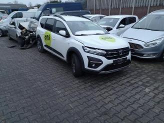 Dezmembrări autoturisme Dacia Jogger Jogger, MPV, 2022 1.0 TCe 100 Bi-Fuel , ECO-G 12V 2022/6
