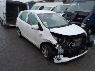 Salvage car Kia Picanto Picanto (JA), Hatchback, 2017 1.0 12V 2019