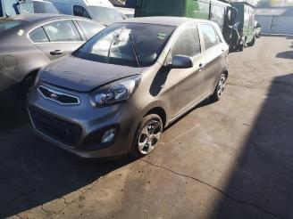 Salvage car Kia Picanto Picanto (TA), Hatchback, 2011 / 2017 1.0 12V 2012/3