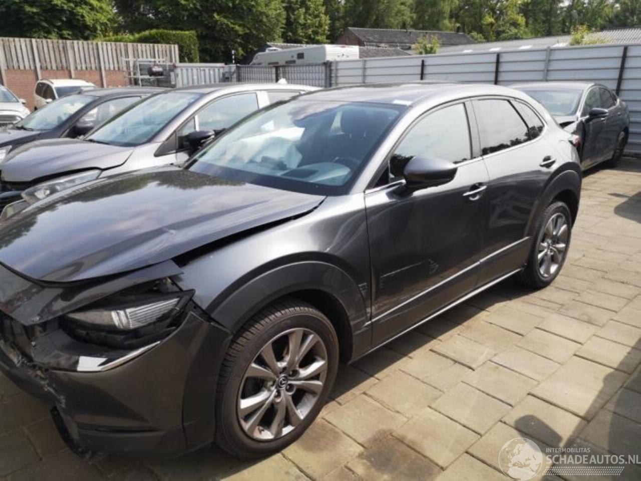 Mazda CX-30 CX-30 (DM), SUV, 2019 1.8 Skyactiv D 116 16V