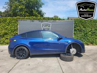 rozbiórka samochody osobowe Tesla Model Y Model Y (5YJY), SUV, 2019 Long Range 72kWh 2023