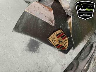 Porsche Panamera Panamera (971G), Liftback, 2016 / 2023 2.9 V6 24V 4 E-Hybrid picture 21