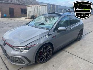 Volkswagen Golf Golf VIII (CD1), Hatchback, 2019 2.0 GTI 16V picture 7