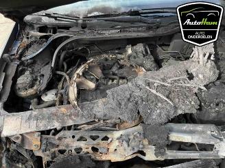 Volkswagen Polo Polo V (6R), Hatchback, 2009 / 2017 1.2 TSI 16V BlueMotion Technology picture 12