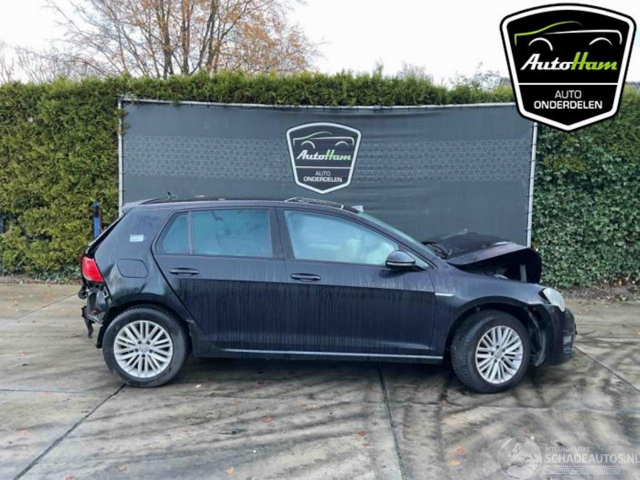 Volkswagen Golf Golf VII (AUA), Hatchback, 2012 / 2021 1.2 TSI 16V