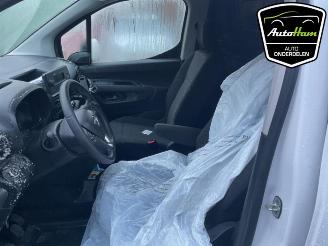 Opel Combo Combo Cargo, Van, 2018 1.5 CDTI 130 picture 22