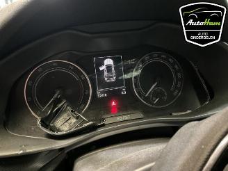 Purkuautot passenger cars Skoda Kamiq Kamiq, SUV, 2019 1.0 TSI 12V 2023/12