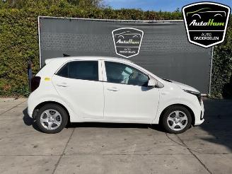 Sloopauto Kia Picanto Picanto (JA), Hatchback, 2017 1.0 DPI 12V 2025/7