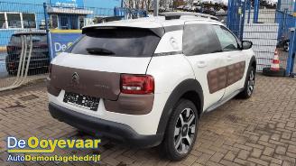 Citroën C4 cactus C4 Cactus (0B/0P), Hatchback 5-drs, 2014 1.2 PureTech 82 12V picture 5