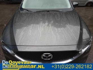 Mazda CX-5 CX-5 (KF), SUV, 2016 2.0 SkyActiv-G 165 16V 2WD picture 21