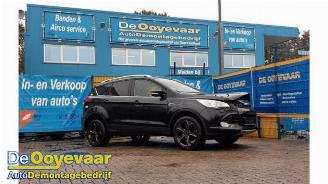 Ford Kuga Kuga II (DM2), SUV, 2012 2.0 TDCi 16V 163 4x4 picture 1