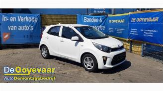 Autoverwertung Kia Picanto Picanto (JA), Hatchback, 2017 1.0 12V 2019/11