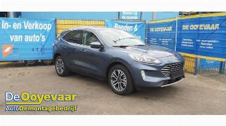 Autoverwertung Ford Kuga Kuga III (DFK), SUV, 2019 2.5 PHEV 16V 2021/10