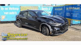 Ford USA Mustang Mustang Mach-E, SUV, 2020 75kWh RWD, 98kWh Extended RWD picture 6