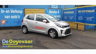 Salvage car Kia Picanto Picanto (JA), Hatchback, 2017 1.0 DPi 12V 2024/2
