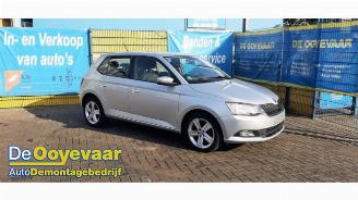 Purkuautot passenger cars Skoda Fabia Fabia III (NJ3), Hatchback 5-drs, 2014 / 2021 1.0 TSI 12V 2018/10