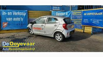 Purkuautot passenger cars Kia Picanto Picanto (JA), Hatchback, 2017 1.0 DPI 12V 2024/4