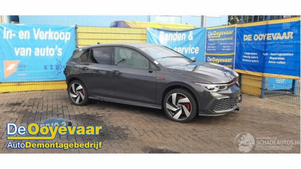 Volkswagen Golf Golf VIII (CD1), Hatchback, 2019 2.0 GTI 16V