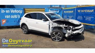 MG Marvel R Marvel R, Hatchback 5-drs, 2021 Luxury, Comfort 70 kWh picture 6