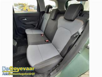 Dacia Duster Duster (SR), SUV, 2017 / 2024 1.0 TCE 100 Bi-Fuel, Eco-G 12V picture 9