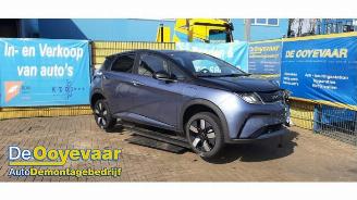 Purkuautot passenger cars BYD Dolphin Dolphin, Hatchback 5-drs, 2021 60,4 kWh 2025/1