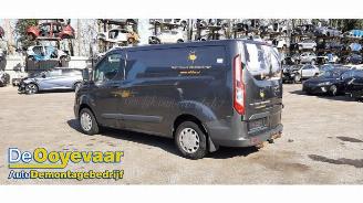 Ford Transit Transit Custom, Van, 2011 / 2023 2.0 TDCi 16V Eco Blue 105 picture 3