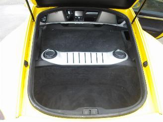 Porsche Cayman GTS picture 12