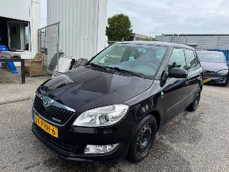 skadebil auto Skoda Fabia 1.2 TDI Greenline 2011/3