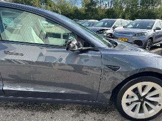 Tesla Model 3 Standard RWD Plus 60 kWh picture 6